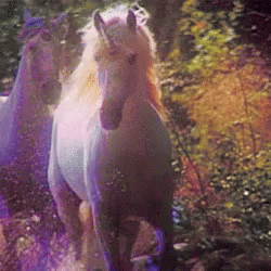 unicorn