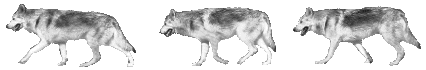 divider