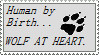 stamp